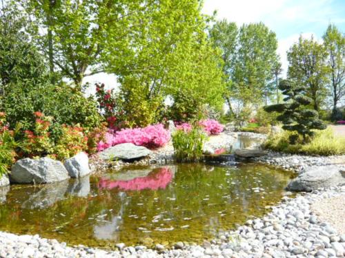 a garden with a pond with pink flowers and rocks at Monica Hotel Fiera in Pregnana Milanese
