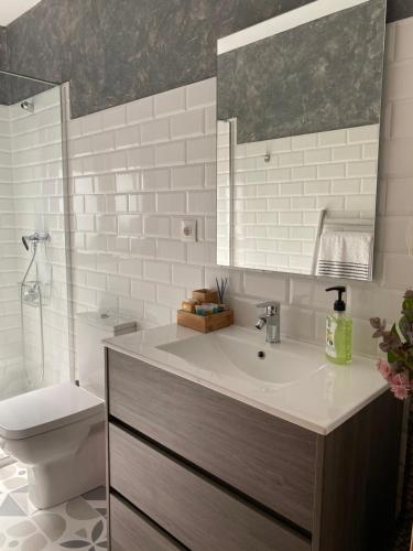 a bathroom with a sink and a toilet and a mirror at Apartamento Casa Xesteira in Poio