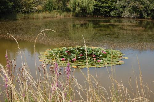 a floating island in the middle of a lake with flowers at Studio Gîte de Fontclairet in Champagne-Mouton