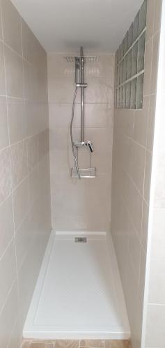 y baño con cabina de ducha y aseo. en Apartamentos Casa Botes II, en Cuenca