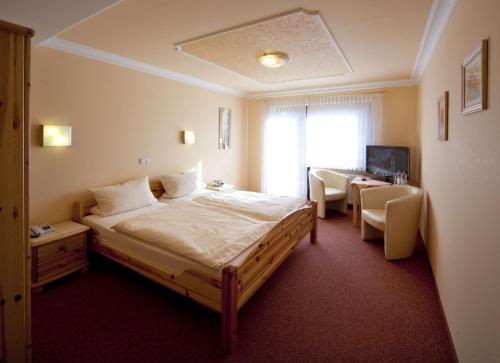 Schlafzimmer mit einem Bett, einem Schreibtisch und einem TV in der Unterkunft Landgasthof - Hotel zum Stern in Linden