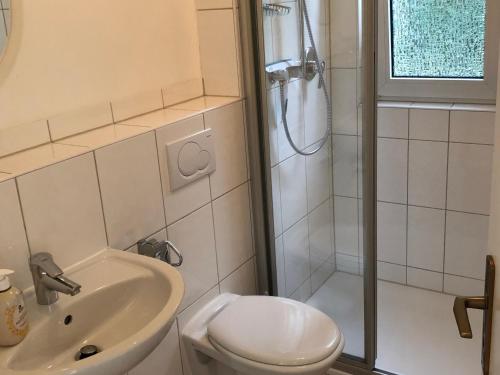 uma casa de banho com um chuveiro, um WC e um lavatório. em Ferienwohnung Sommerfeld em Bad Sassendorf