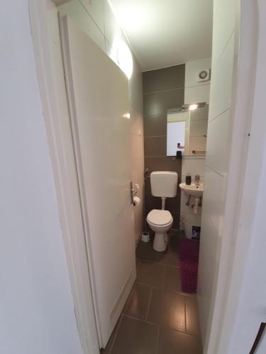 ein kleines Bad mit WC und Waschbecken in der Unterkunft Apartman Viola Mareda in Novigrad Istria
