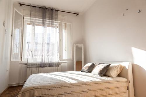 Fotografie z fotogalerie ubytování Apartma Premrlova v destinaci Izola