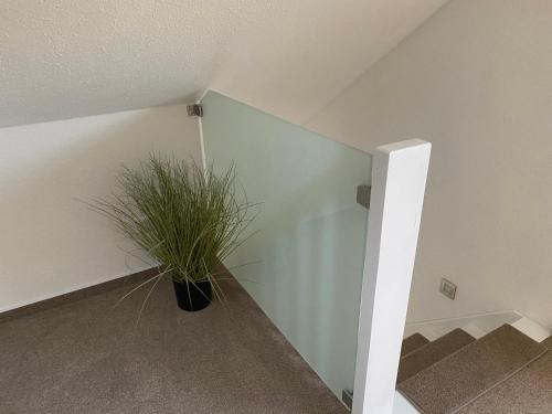a green plant in a room with a wall at Luxuriöses Ferienhaus Anita nahe Timmendorfer Strand, Travemünde und Lübeck in Sereetz