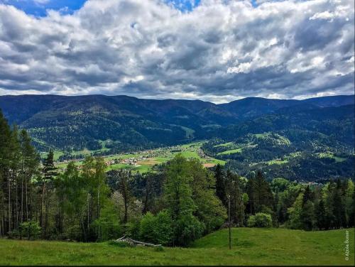 a view of a valley with mountains and trees at Domačija KOHOVO in Lovrenc na Pohorju