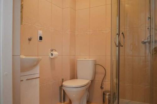 La salle de bains est pourvue de toilettes, d'un lavabo et d'une douche. dans l'établissement Pokoje Gościnne w Ratuszu, à Ogrodzieniec