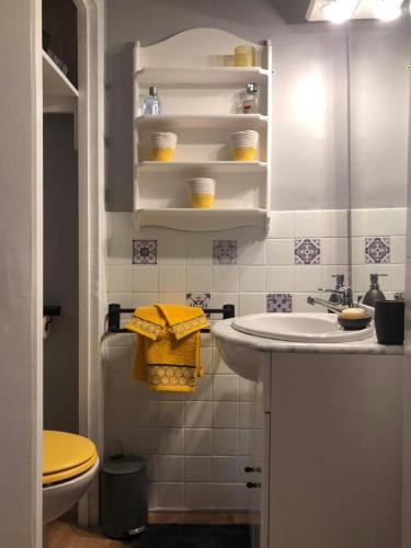 une salle de bain avec un lavabo et des toilettes dans l'établissement Le Gîte du Lotus Corrézien, à Le Lonzac