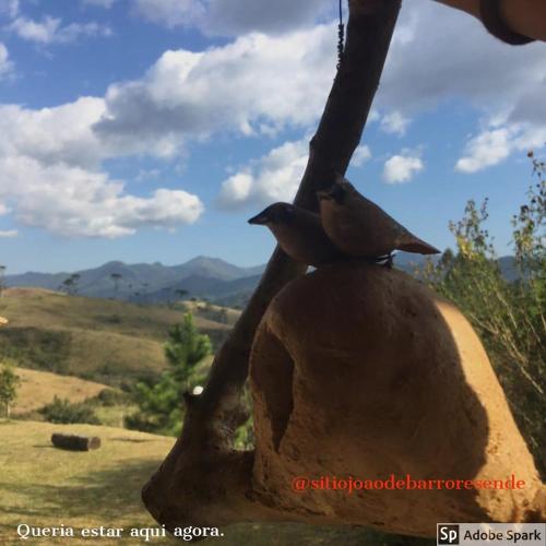 a statue of three birds sitting on a rock at Pousada Chales Joao de Barro in Visconde De Maua