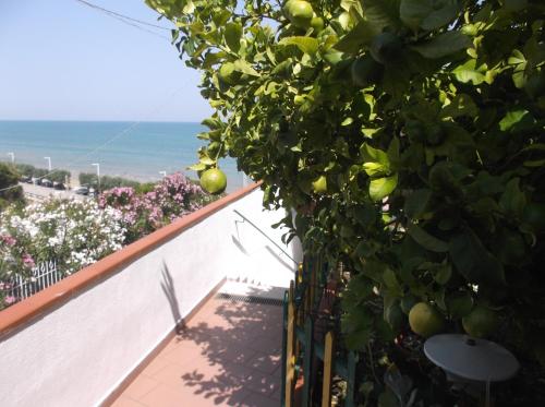 - une vue sur l'océan depuis le balcon d'une maison dans l'établissement Affittacamere Murgenere, à Vico del Gargano