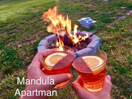 two people holding glasses of beer in front of a fire at Mandula Apartman in Cegléd