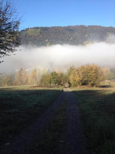 a dirt road in a field with fog in the background at Waldnest Odenwald in Wald-Michelbach