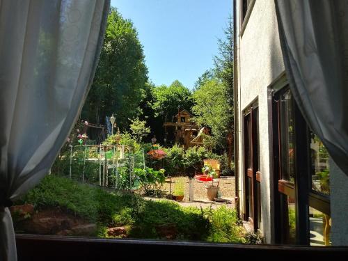 a view of a garden from a window at Waldnest Odenwald in Wald-Michelbach