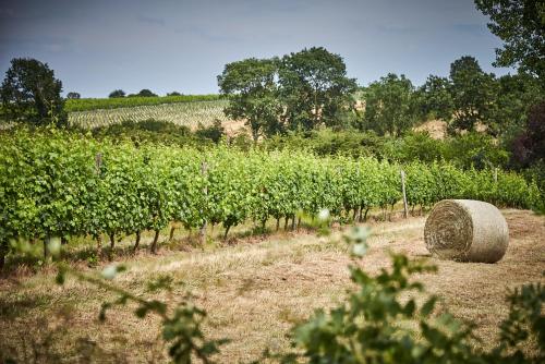 a field of crops with a bale of hay at Les Jardins de l'Anjou in La Pommeraye