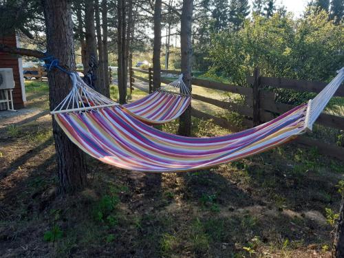 a hammock hanging from a tree in a yard at Sämi Siil in Sämi