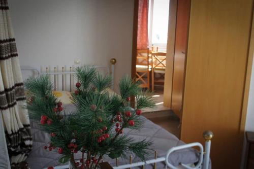 Φωτογραφία από το άλμπουμ του STAVROS amazing apartment in the centre of KOS στην Κω Πόλη