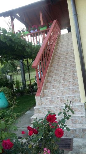 a set of stairs with red roses in a yard at Prenoćište " Ruža" in Višegrad