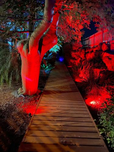 a walkway with a tree in a garden at night at Cabin Eretz Ha-Kineret in Had Nes