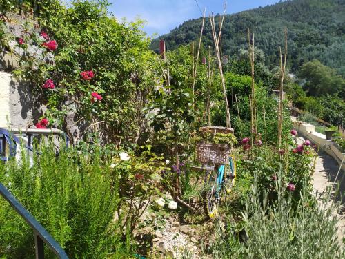 a bike parked in a garden with flowers at Casa da Rota dos Moinhos in Lousã