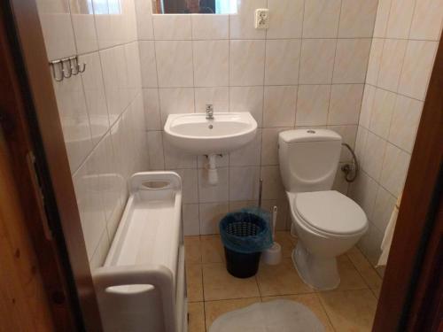 a small bathroom with a toilet and a sink at Domek Muszelka in Karwia