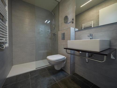 a bathroom with a toilet and a sink and a shower at Apartantiguo Altamirano 13 in Oviedo