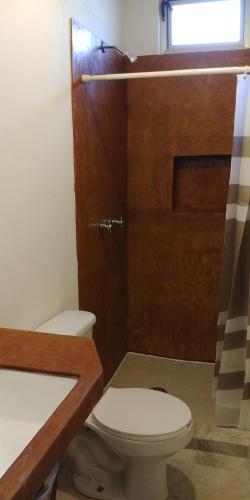ein Badezimmer mit einem WC und einer Holztür in der Unterkunft Hotel Lorimar in La Paz