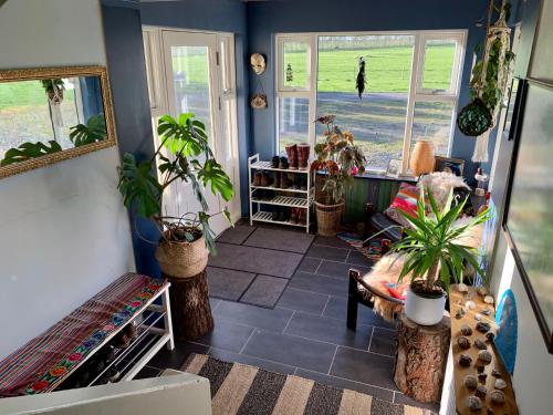 a room with potted plants and a view of the ocean at Frostastaðir Guesthouse in Varmahlid