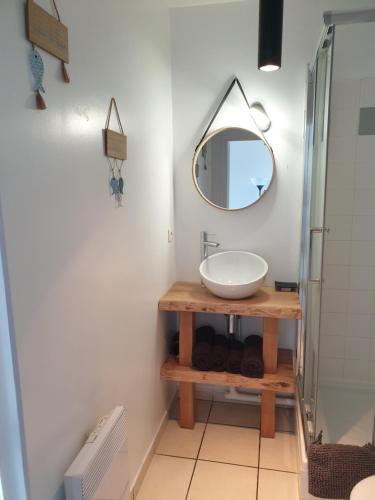 ein Bad mit einem Waschbecken und einem Spiegel in der Unterkunft Duplex de Léane in Honfleur