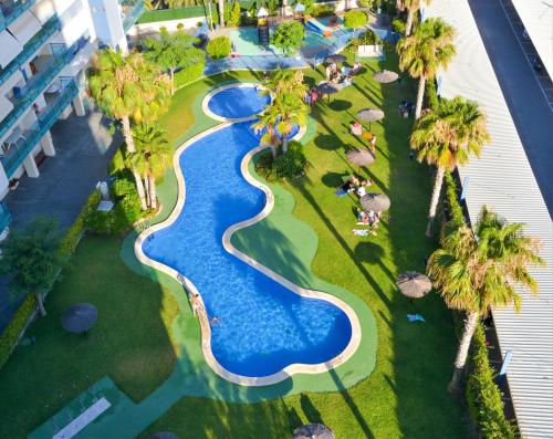 una vista aérea de una piscina en un complejo con palmeras en Luxury penthouse,first line, en Alicante