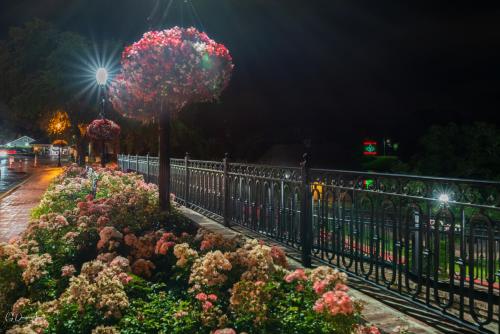 Taman di luar Chateau Saint Denis Hotel, a Trademark Collection by Wyndham