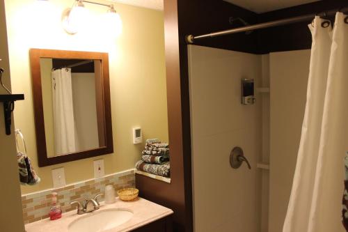 a bathroom with a sink and a mirror and a shower at Koreana in Decorah in Decorah