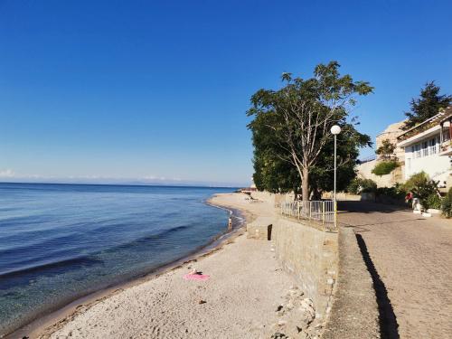 a beach with a tree and the ocean at Guest Rooms Melsambria in Nesebar