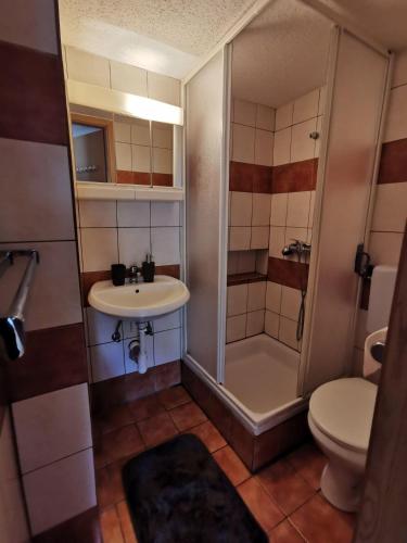 Apartma Jerman في كراجسكا غورا: حمام مزود بمغسلة ومرحاض ودش