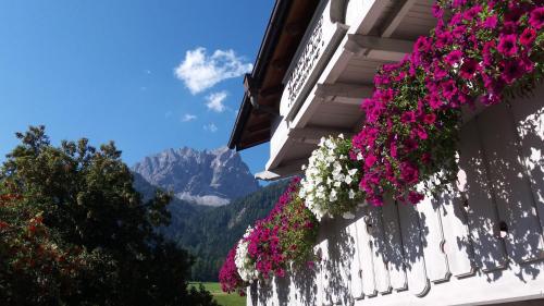 Residence Alpenrose