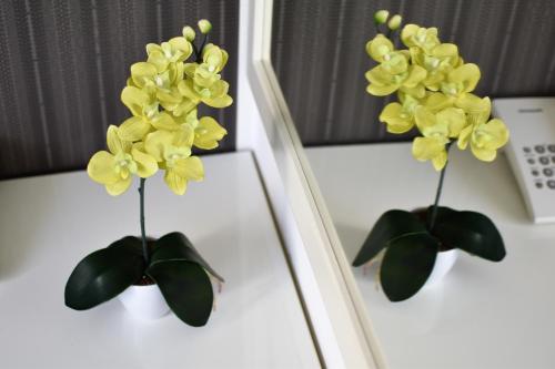 a couple of yellow flowers in a vase on a table at Hotel Slavija Banja Luka in Banja Luka