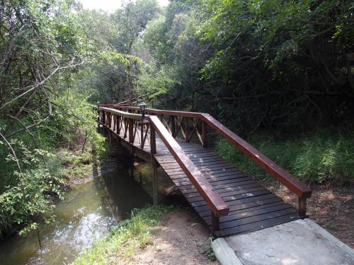 a wooden bridge over a river in a forest at Lion Tree Top Lodge in Guernsey Nature Reserve