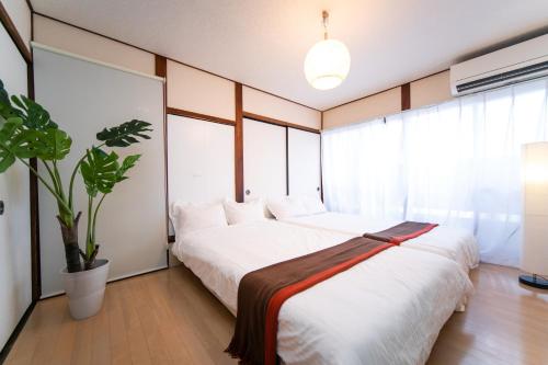 a bedroom with two beds and a potted plant at Yokkaichi Nishishinchi Hotel in Yokkaichi