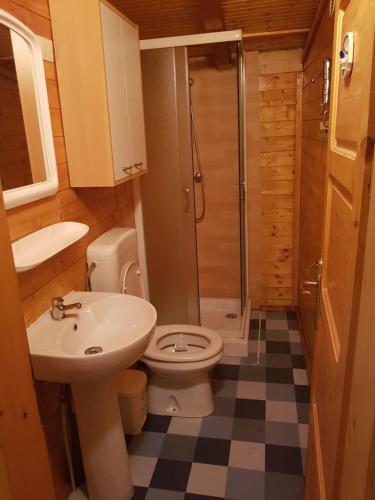 ein Bad mit einem WC, einem Waschbecken und einer Dusche in der Unterkunft Camping International 242 Porlezza Italië in Porlezza