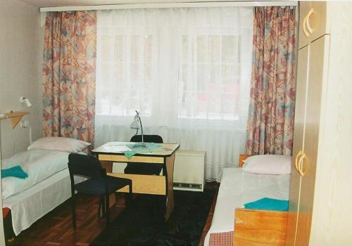 1 dormitorio con escritorio, 1 cama y ventana en Hotel Janina, en Rytro