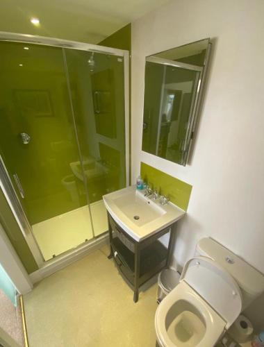a bathroom with a toilet and a sink and a shower at NORTHRISE RETREAT in Hastings