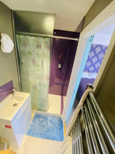 a small bathroom with a shower and a sink at NORTHRISE RETREAT in Hastings