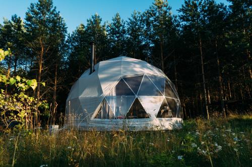 une tente en forme de dôme en verre dans un champ d'herbe dans l'établissement Glamping Drzwi Do Lasu, à Supraśl