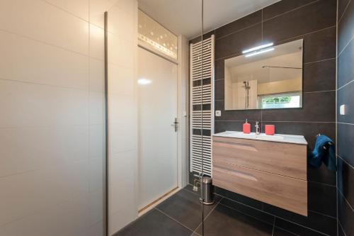 uma casa de banho com um lavatório e um espelho em Vakantiehuis Villa 32 em Heel