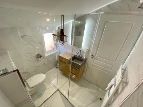 a bathroom with a shower and a toilet and a sink at Le Bistrot - Au Coeur d'Agen - Self Checkin - Wifi - Netflix - Smart TV - Luqs fr in Agen