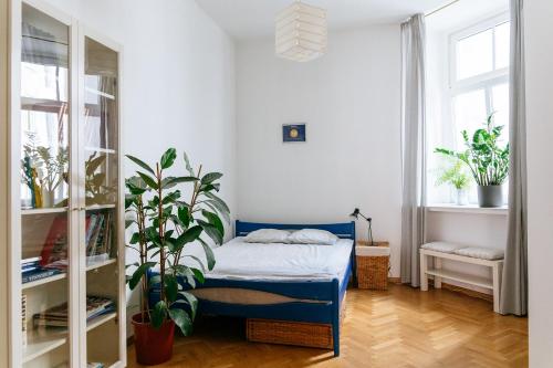a bedroom with a blue bed and a potted plant at Comfortable & Spacious Lodz City Center Apartment in Łódź