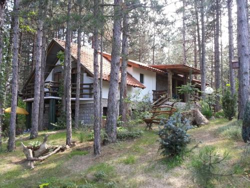 Gallery image of Guesthouse Bajka in Vinci