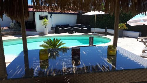 einen Pool mit Palmen im Hinterhof in der Unterkunft Studio Zure Ondoan - SPA et piscine chauffée in Tarnos