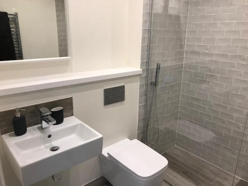 a bathroom with a sink and a toilet and a shower at The Loft, Flat 3 in Bath