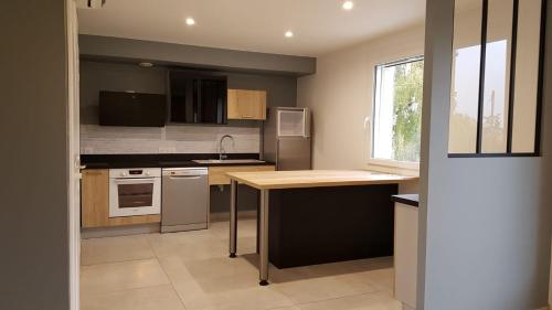 a kitchen with a sink and a counter top at Domaine de la Loge in Flacey-en-Bresse