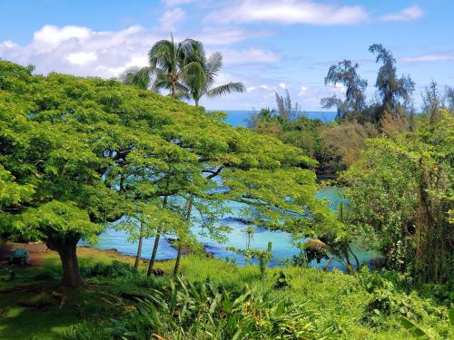 una vista de un cuerpo de agua con árboles en Mauna Loa Shores #405 condo en Hilo